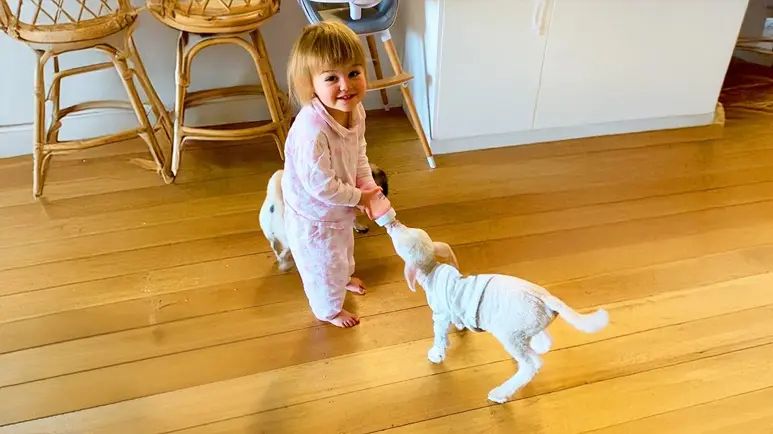 a lucky lambs second chance