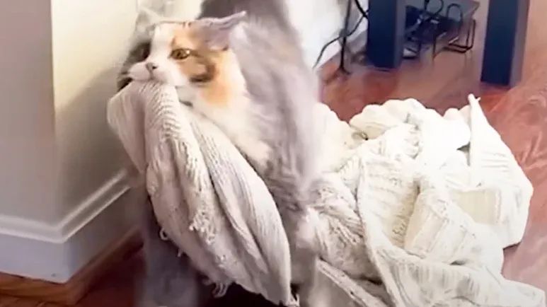 blarns blanket adventures