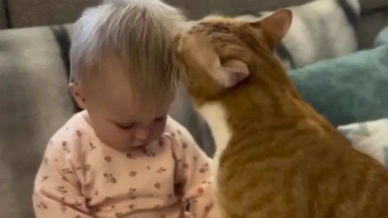 crush and coras sweet morning routine