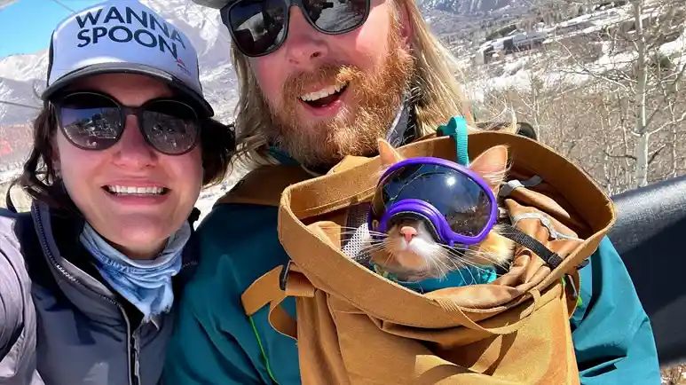 meet the ski loving adventure cat