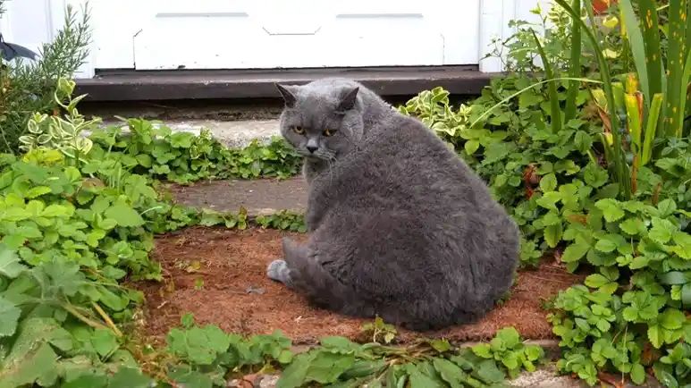 smudges second chance at 18