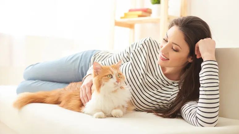 8 things only cat people understand