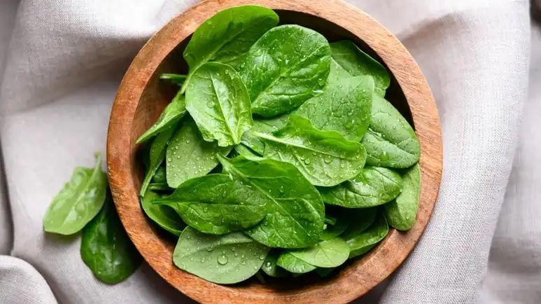 can you feed spinach to your pet