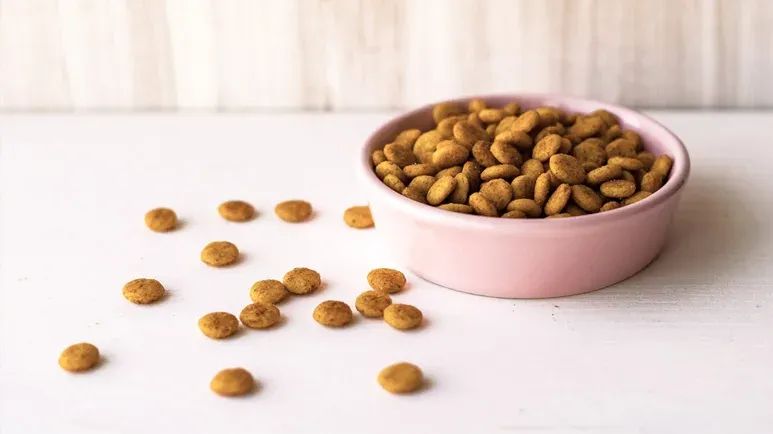 pet food storage mistakes
