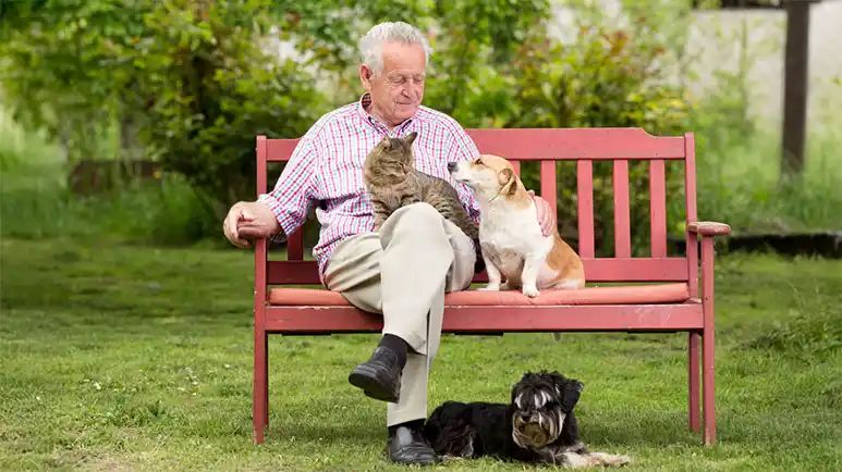 pet ownership for seniors