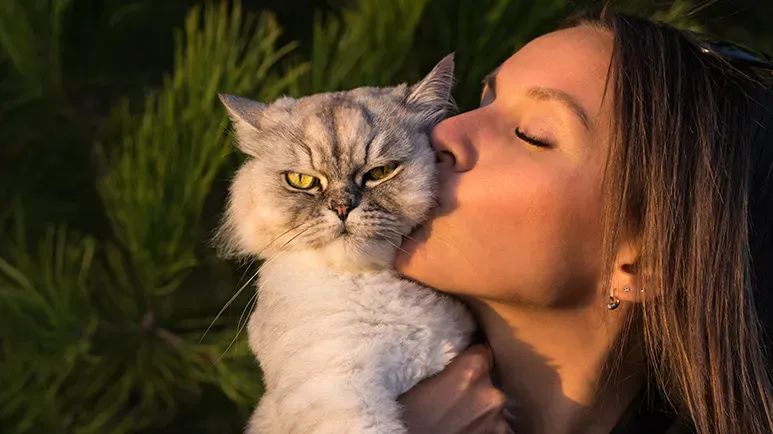 5 weird cat behaviors explained
