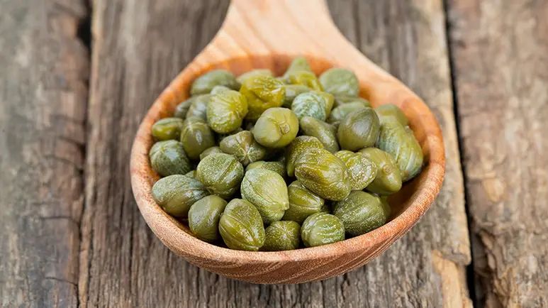 can you feed capers to your pet