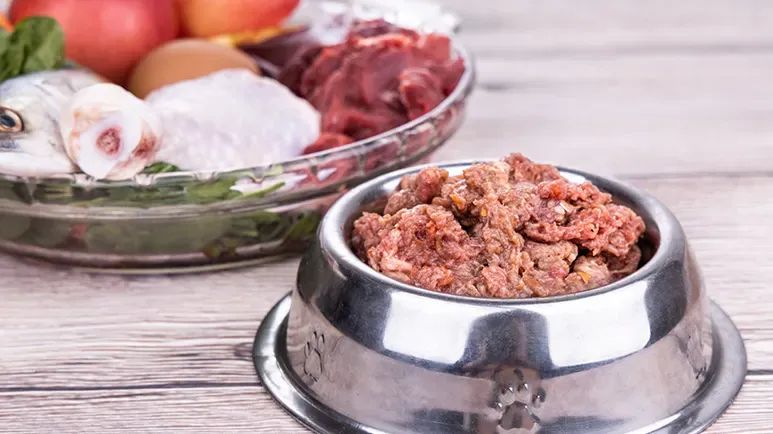 fda targets raw pet food manufacturers