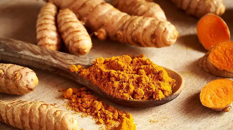 turmeric outperforms pain meds in dogs