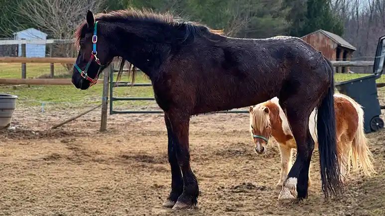 athena finds her first friend