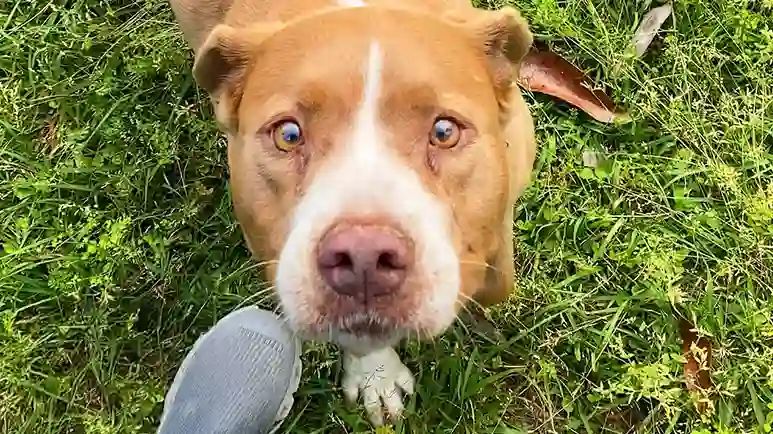 mollys new beginning