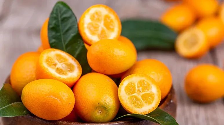 can you feed kumquats to your pets