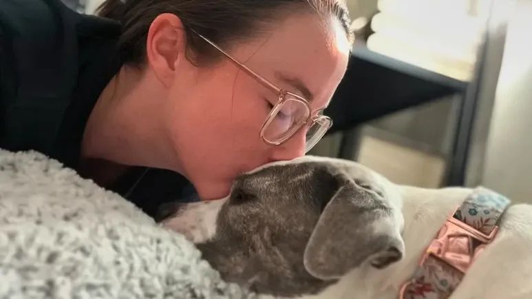 scared street dog finally finds a family