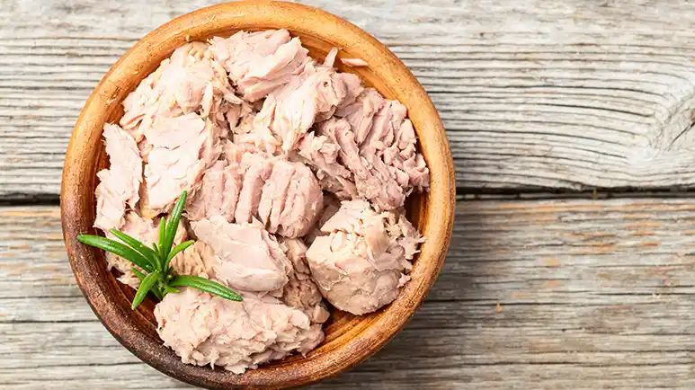 why you shouldnt feed tuna to your pets