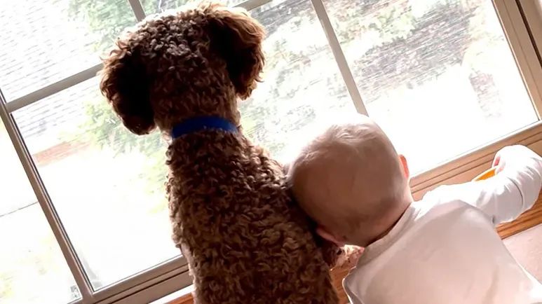baby crawls early just to keep up with puppy