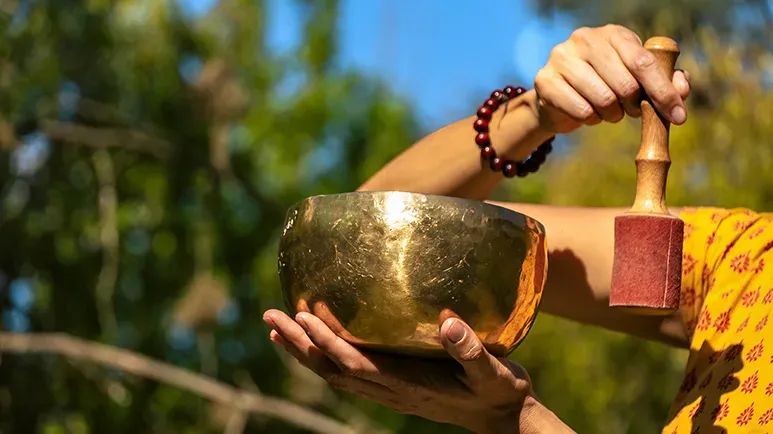 sound vibrations dogs relief