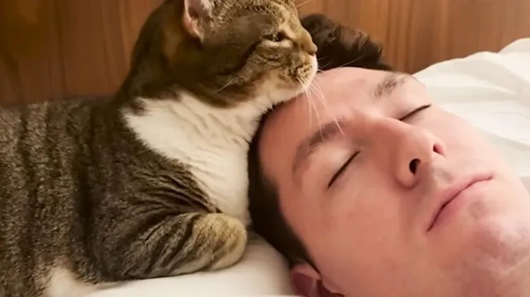 karen the cats daily routine with her dad