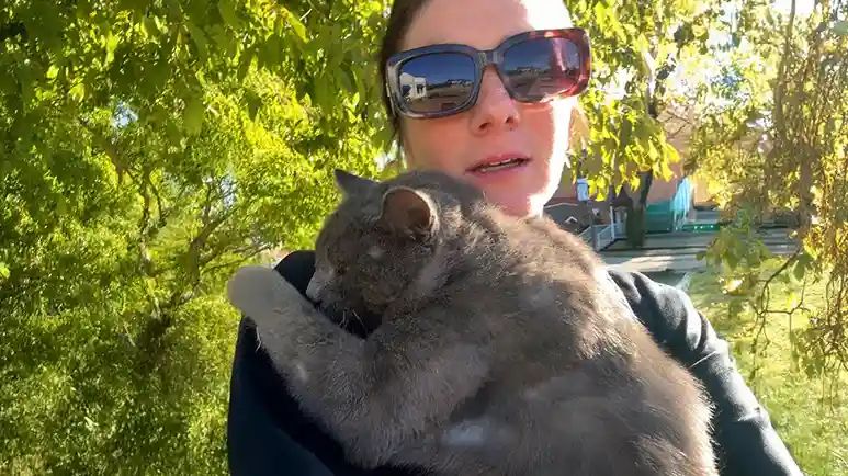 woman saves injured cat who changes her life
