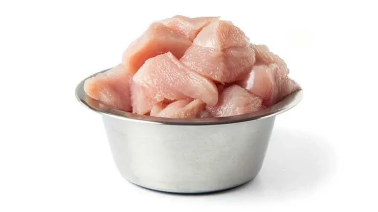 cafo chicken bird flu