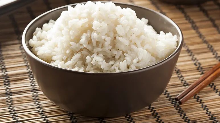 can you feed white rice to your pets