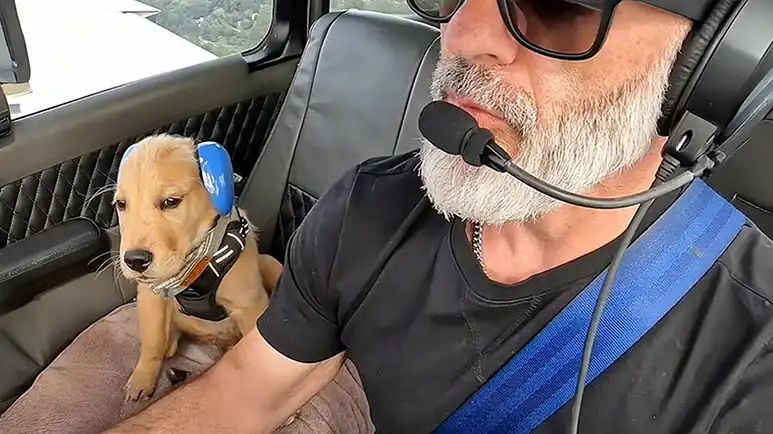 puppy lives for plane rides with his dad