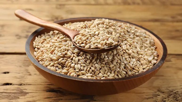 can you feed barley to your pets