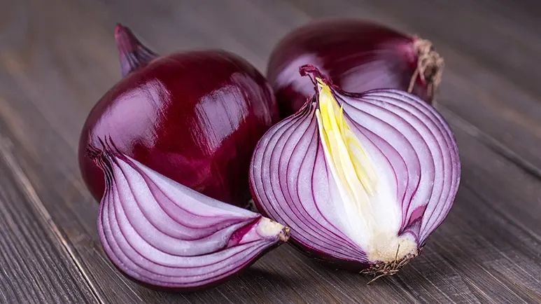 can your pet eat onions