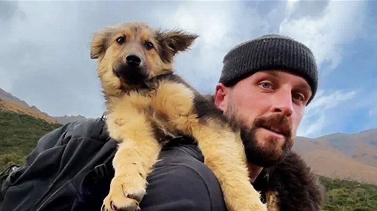 hiker reaches a peak and finds a puppy waiting
