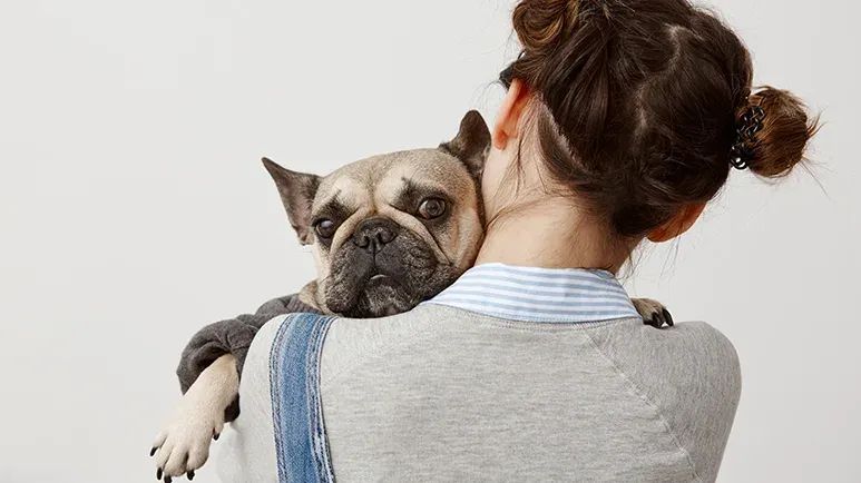 why dog may not like to cuddle