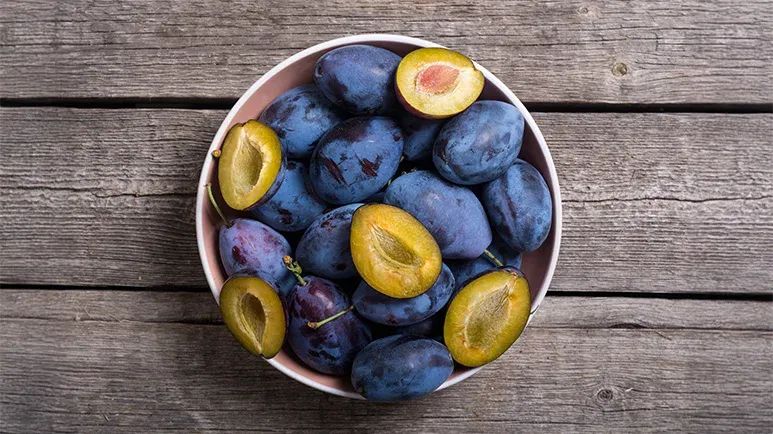 can you feed plums to your pets