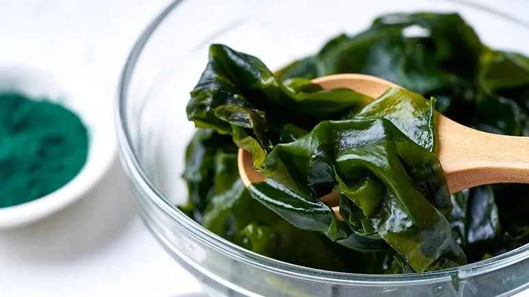 kelp supplement guide for pets