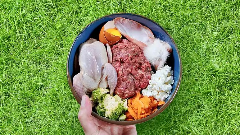 raw pet food salmonella