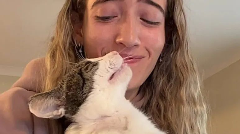 a rescue cat who learned to trust again