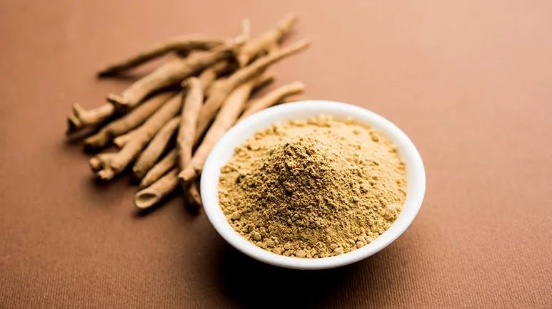 ashwagandha for pet stress