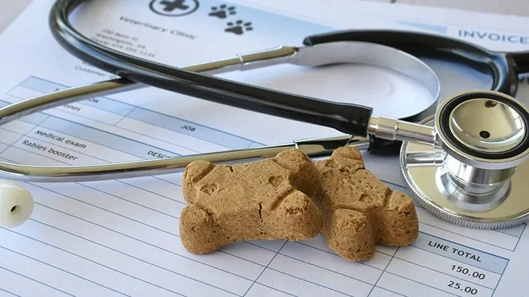 pet preventive health care