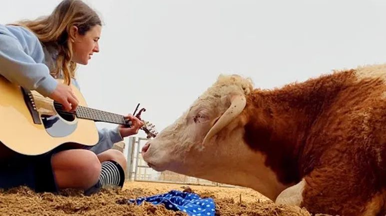 a gentle giant learned to trust again