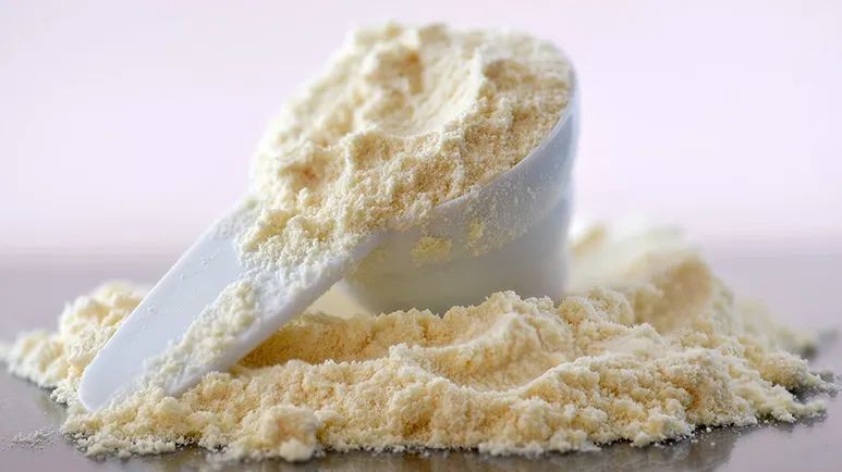 colostrum for dogs