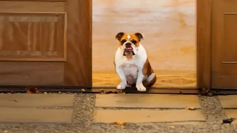 from abandoned to farm favorite