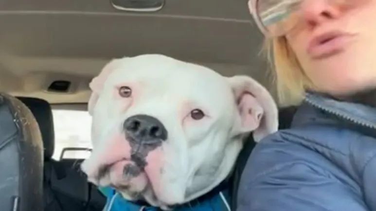 from biter to big marshmallow