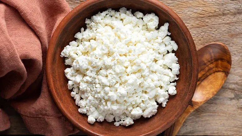 can you feed cottage cheese to your pet