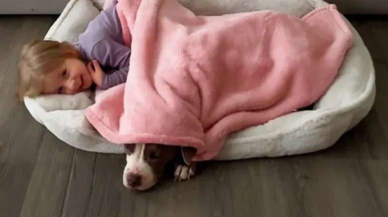 dumped in the cold saved by kindness