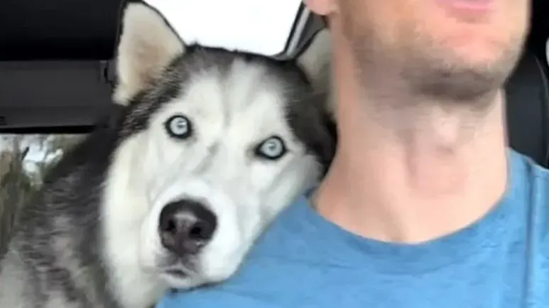 the dog who became his anchor