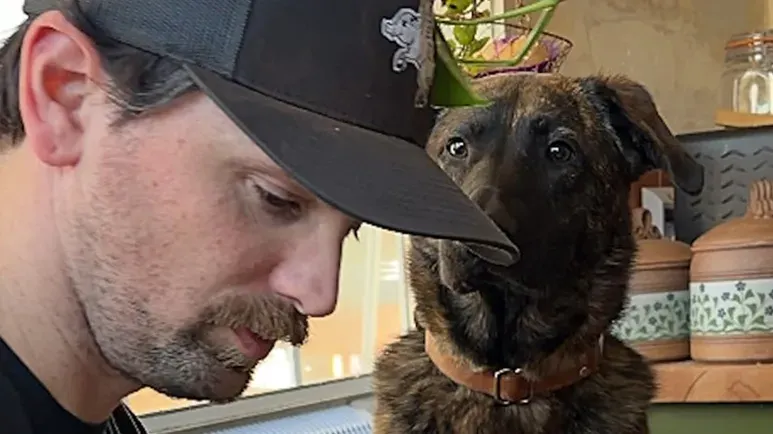 the last puppy finally chosen