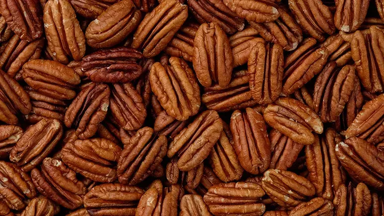 can you feed pecans to your pets