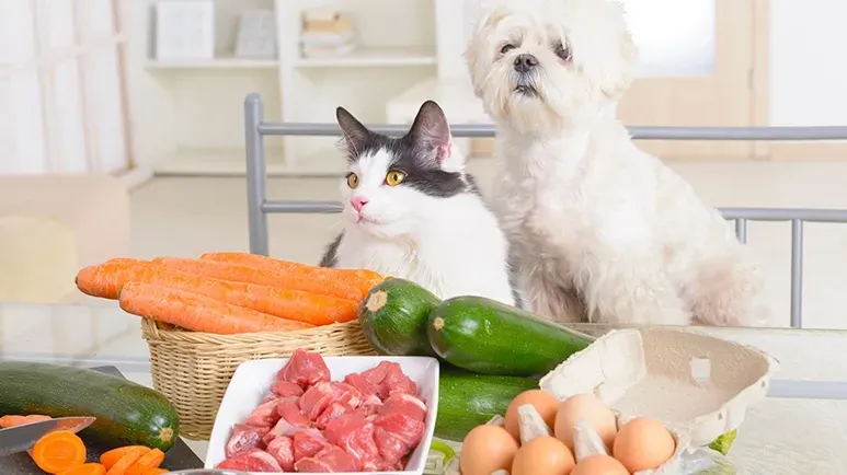 carbohydrate heavy processed pet food