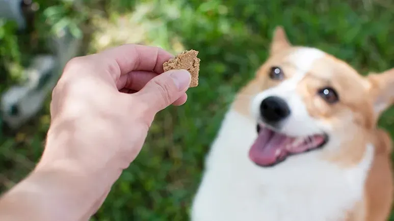 frozen yeast buster bites recipe