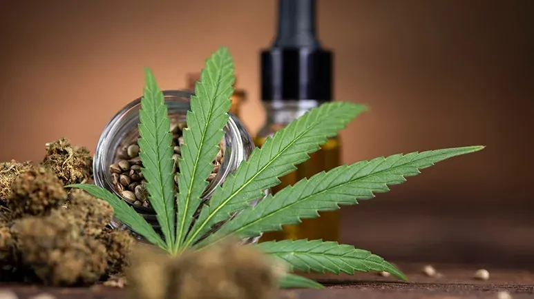pet medicinal marijuana