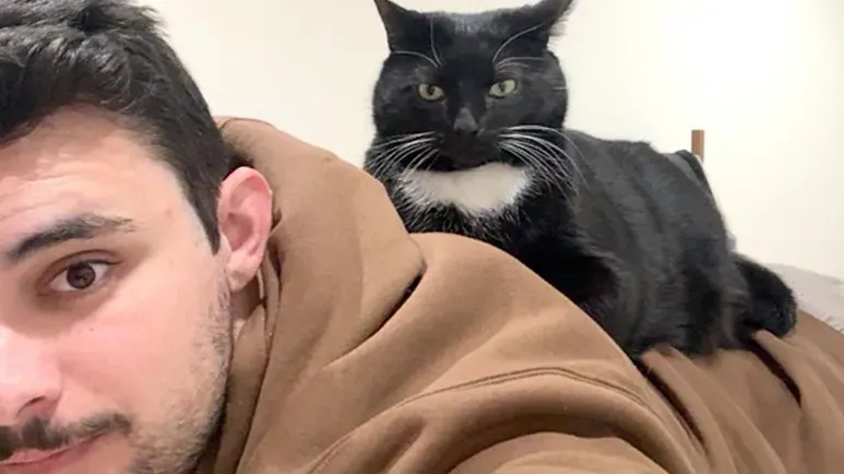 the cat who changed everything