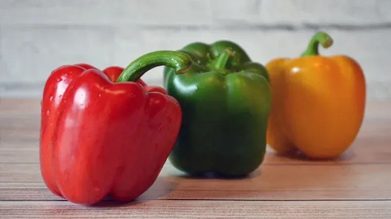 can you feed bell peppers to your pets