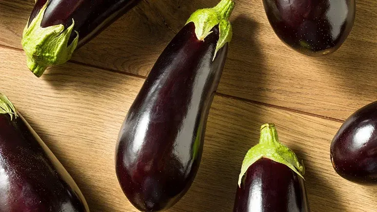 can you feed eggplant to your pet